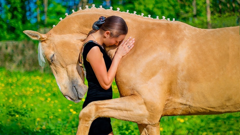 Understanding Common Dental Issues in Horses