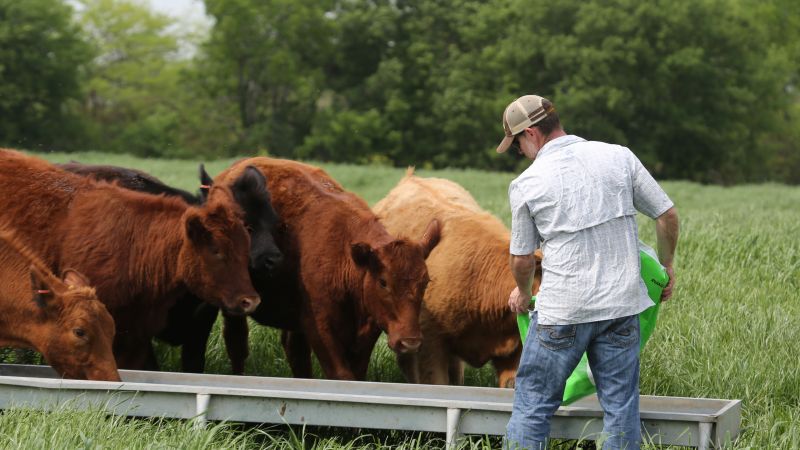 Dental Health and Safety for Texas Farmers and Ranchers